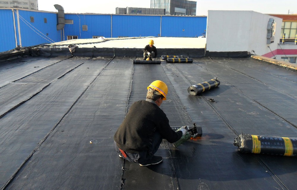 东莞市金诚装饰工程有限公司